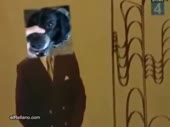 480x360
