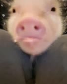 480x600