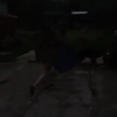 360x360