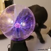 720x720