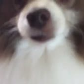 360x360