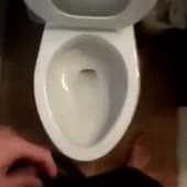 360x360