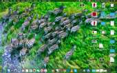 1440x900