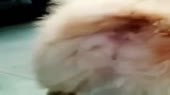 400x224