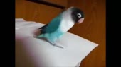 400x224