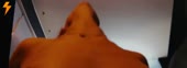 720x264