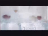 480x360