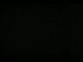 320x240