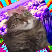 360x360