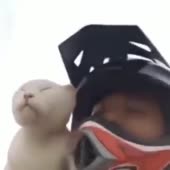 360x360