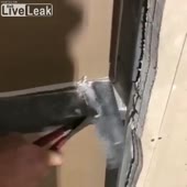 360x360