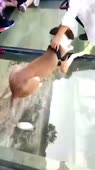 360x640