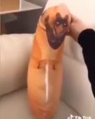 288x360