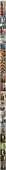 798x19521