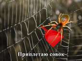 1067x800