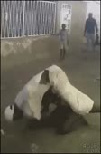 218x328