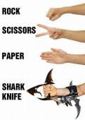 500x700