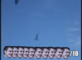 490x360
