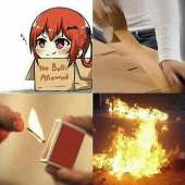 494x494