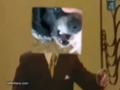 480x360