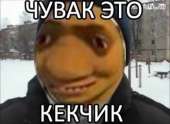 500x365