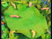 480x360