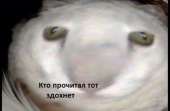 720x474