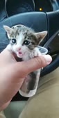 360x720