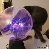 720x720