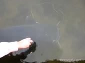 480x360
