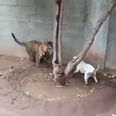 360x360