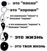 460x504