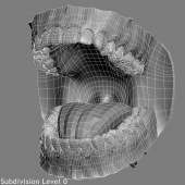 1200x1200