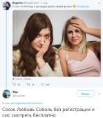 587x666