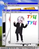 384x480