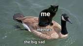 460x258