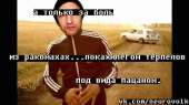 600x337