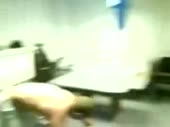 320x240