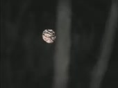 320x240