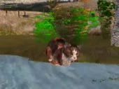 480x360