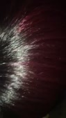 360x640