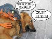 640x481