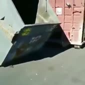 360x360
