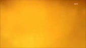 692x388