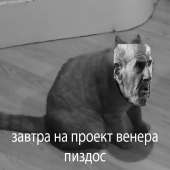 720x720