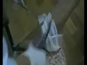320x240