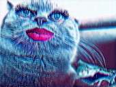 1180x884