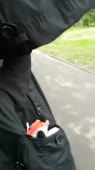 336x598