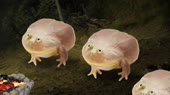 1280x720