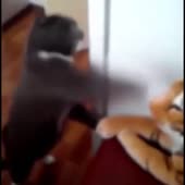 360x360